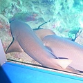 RIMG0223.JPG