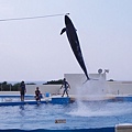 RIMG0312.JPG