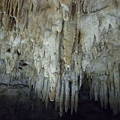 RIMG0456.JPG