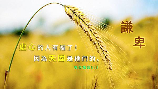全能神教會丨神的作工與人的作工的區別-怎樣分辨神的作工與人的作工 全能神教會,天國,恩典