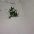 20120113_047.jpg