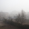 20120115_001.jpg