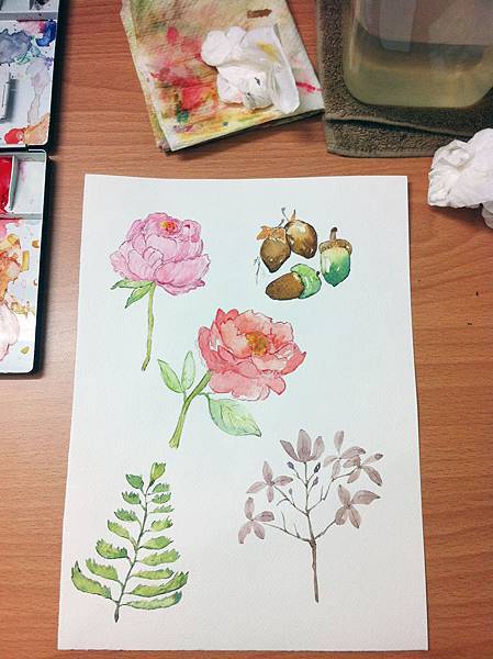 IMG_3838.JPG IMG_3838.JPG