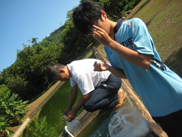 免費住宿的代價就是要餵魚的