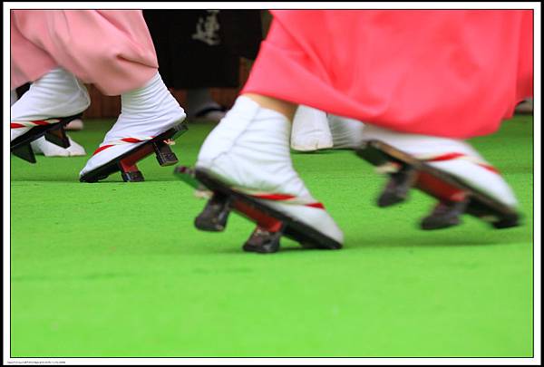 IMG_2817 IMG_2817