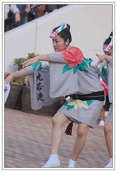 IMG_3491 IMG_3491