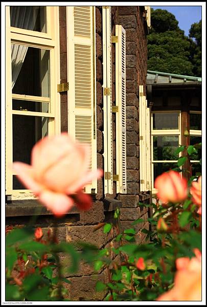 IMG_4212.JPG IMG_4212.JPG