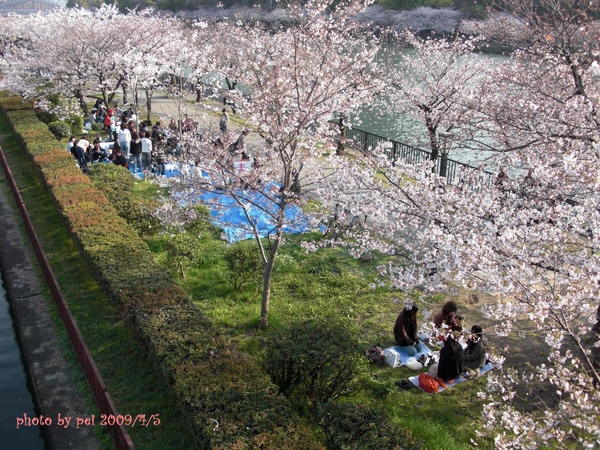 橋下野餐.JPG