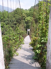 竹60-12