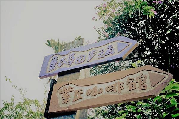 1380116_735757559774764_516855258_n