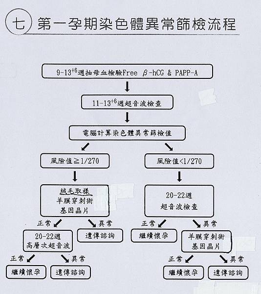 第一孕期染色體異常篩檢流程.jpg