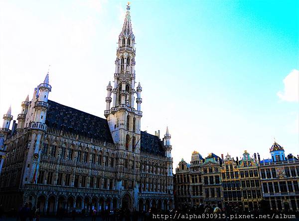 20160219 Belgium Bruxelles.JPG