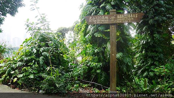 P1110923.JPG P1110923.JPG