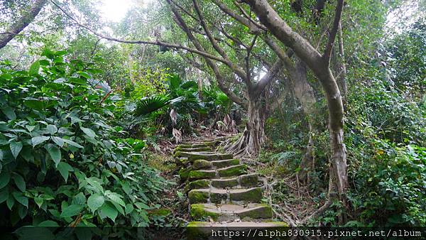 P1110932.JPG P1110932.JPG