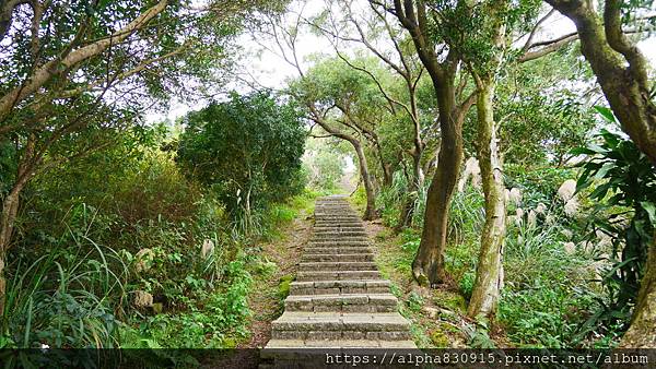 P1110954.JPG P1110954.JPG