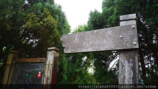 P1110958.JPG P1110958.JPG