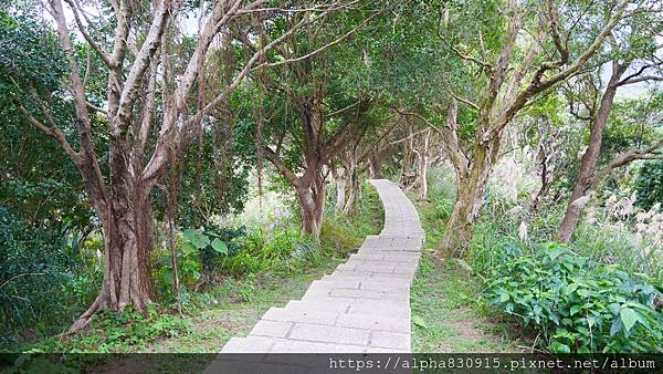 P1110960.JPG P1110960.JPG