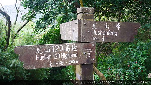 P1110962.JPG P1110962.JPG