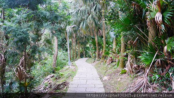 P1110973.JPG P1110973.JPG