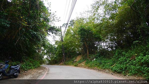 P1110976.JPG P1110976.JPG