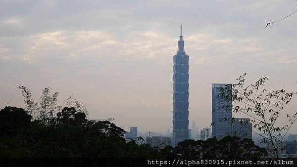 P1110978.JPG P1110978.JPG