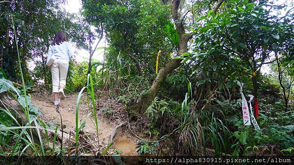 P1120014.JPG P1120014.JPG