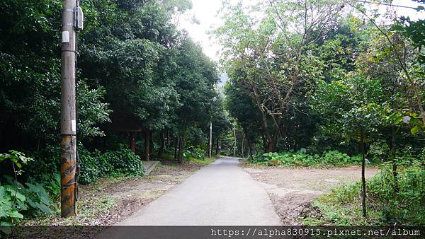 P1120026.JPG P1120026.JPG