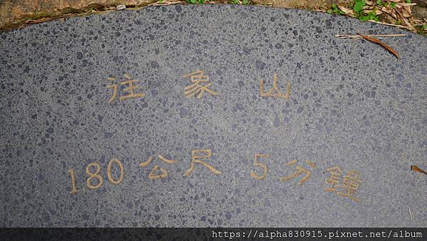 P1120046.JPG P1120046.JPG