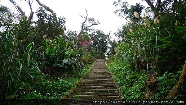 P1120050.JPG P1120050.JPG