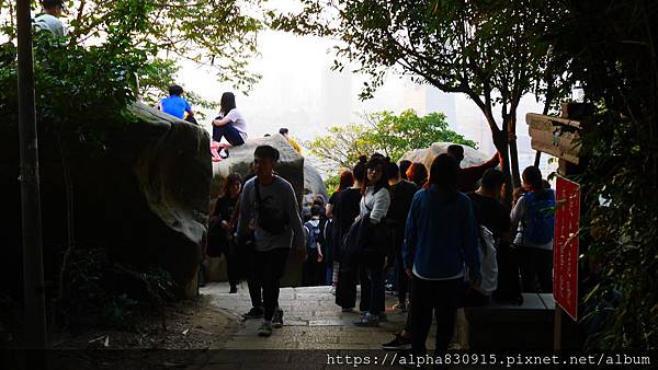 P1120077.JPG P1120077.JPG