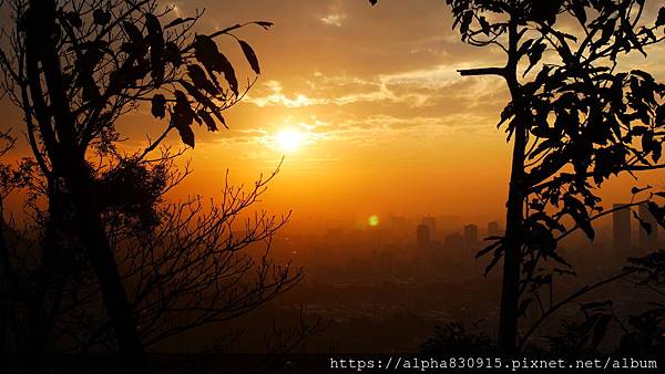 P1120079.JPG P1120079.JPG