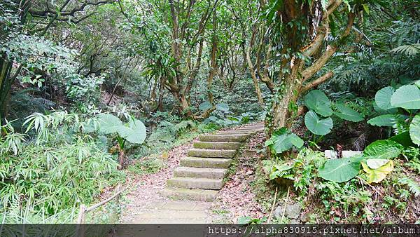 P1380559.JPG P1380559.JPG