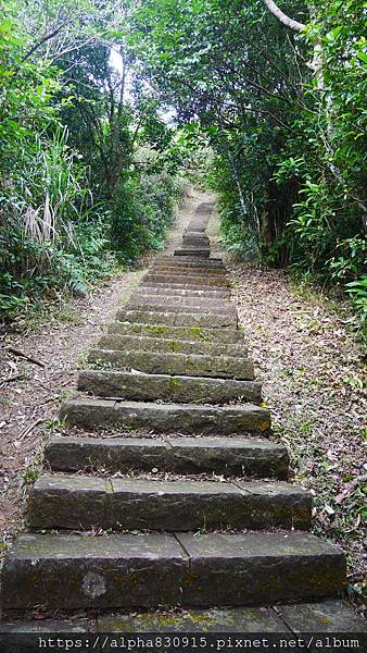 P1380566.JPG P1380566.JPG