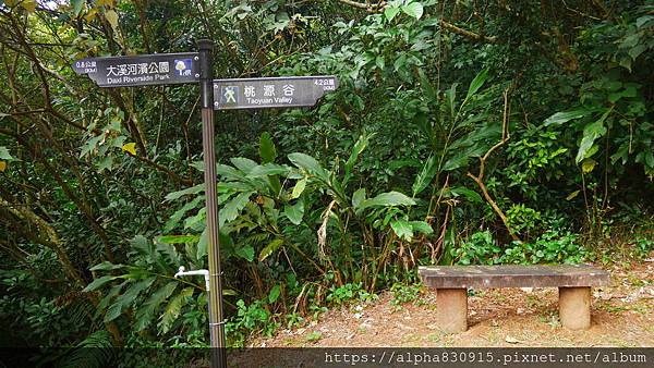 P1380563.JPG P1380563.JPG