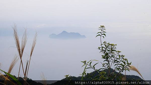 P1380582.JPG P1380582.JPG