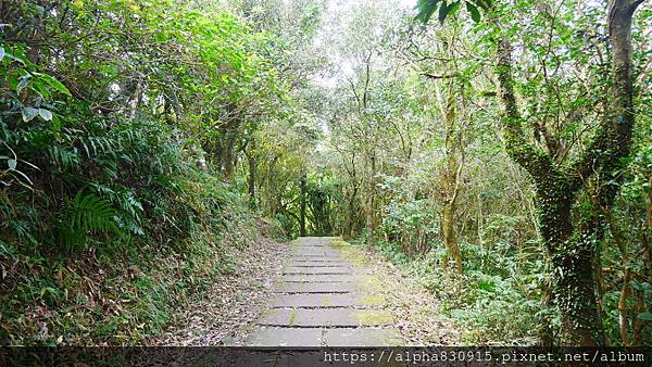 P1380580.JPG P1380580.JPG