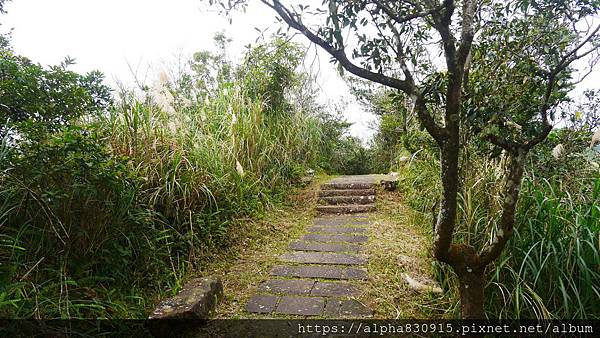 P1380589.JPG P1380589.JPG