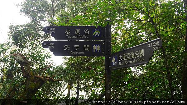 P1380590.JPG P1380590.JPG