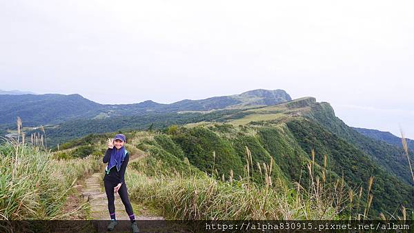 P1380620.JPG P1380620.JPG