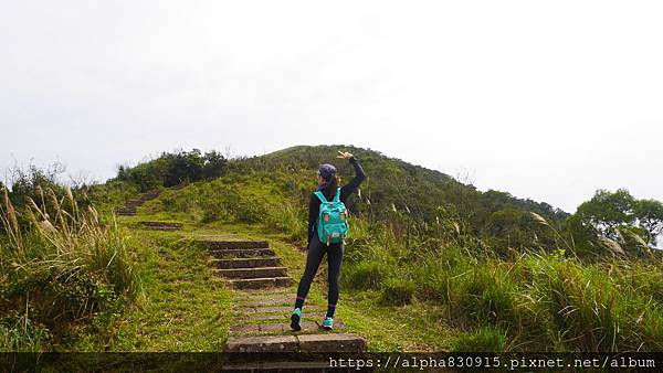 P1380608.JPG P1380608.JPG