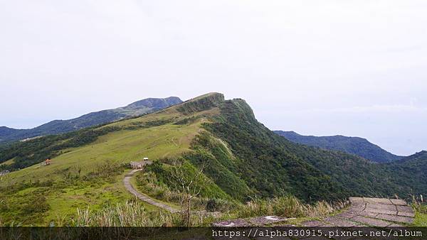 P1380630.JPG P1380630.JPG