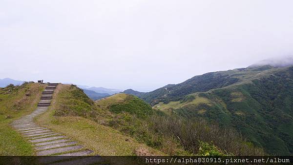 P1380690.JPG P1380690.JPG