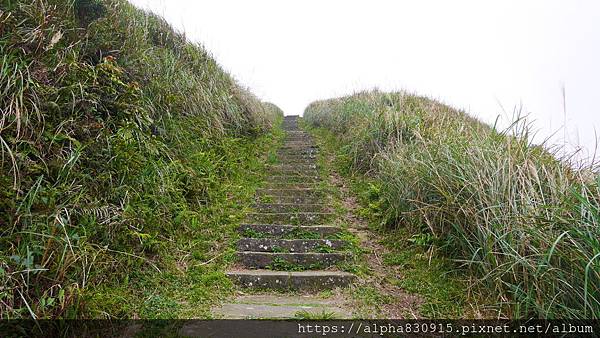 P1380701.JPG P1380701.JPG