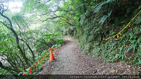 P1380764.JPG P1380764.JPG