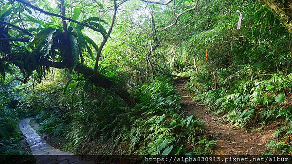 P1380767.JPG P1380767.JPG