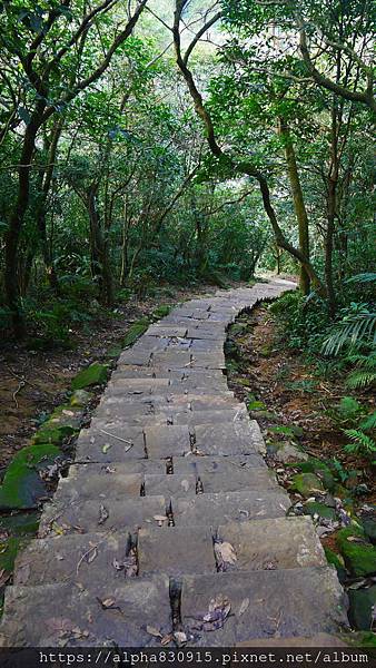 P1380771.JPG P1380771.JPG