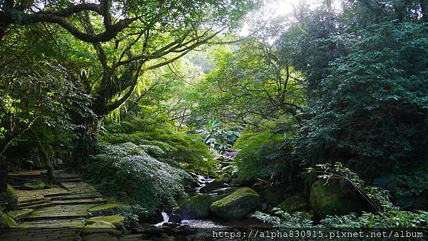 P1380775.JPG P1380775.JPG