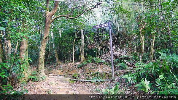 P1380810.JPG P1380810.JPG