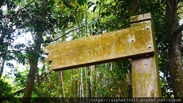 P1400581.JPG P1400581.JPG