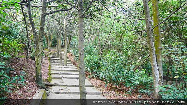 P1400583.JPG P1400583.JPG